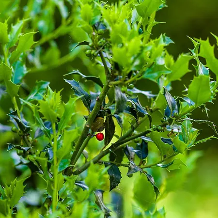 Cozy & Spacious Place On A Quiet Spot In The Middle Of The Netherlands With Free Use Of 2 Women's And 2 Men's Bikes Child Seat Putten