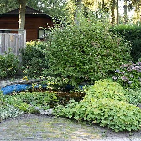 Cozy & Spacious Place On A Quiet Spot In The Middle Of The Netherlands With Free Use Of 2 Women's And 2 Men's Bikes Child Seat Prázdninový dům