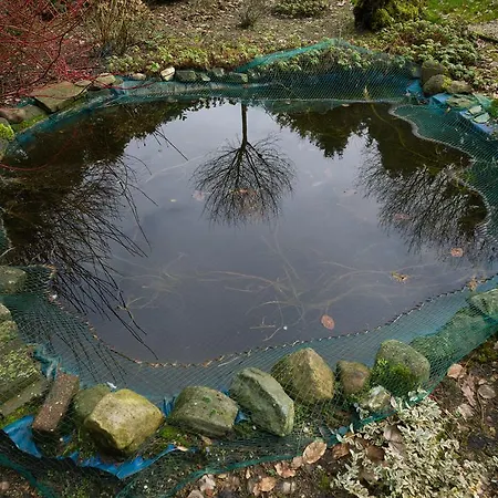 Cozy & Spacious Place On A Quiet Spot In The Middle Of The Netherlands With Free Use Of 2 Women's And 2 Men's Bikes Child Seat Prázdninový dům
