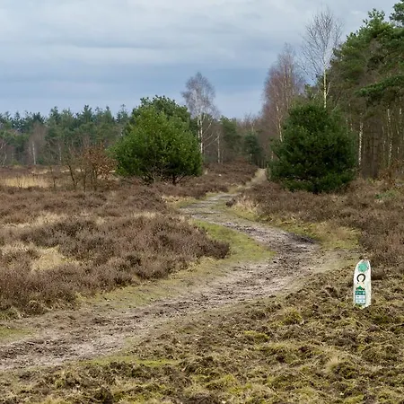Casa vacanze Cozy & Spacious Place On A Quiet Spot In The Middle Of The Netherlands With Free Use Of 2 Women's And 2 Men's Bikes Child Seat Putten