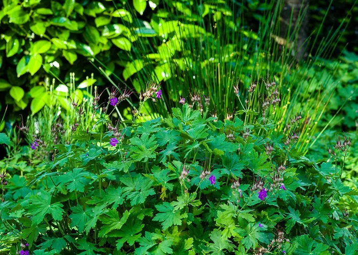 Hébergement de vacances Cozy & Spacious Place On A Quiet Spot In The Middle Of The Netherlands With Free Use Of 2 Women's And 2 Men's Bikes Child Seat *