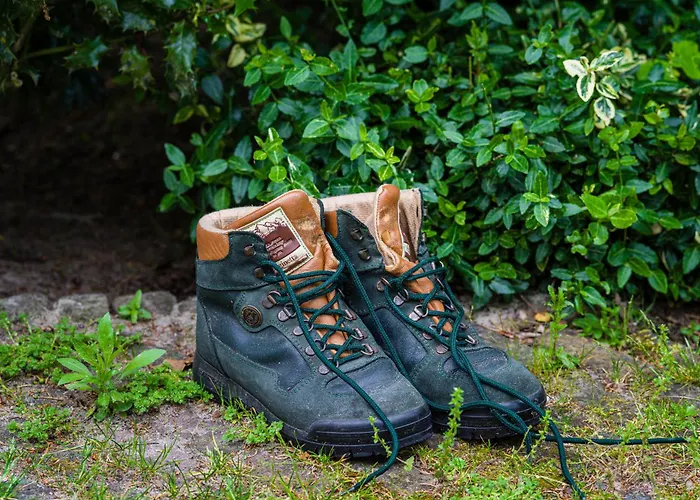 Hébergement de vacances Cozy & Spacious Place On A Quiet Spot In The Middle Of The Netherlands With Free Use Of 2 Women's And 2 Men's Bikes Child Seat Putten