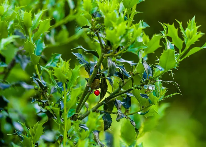 Cozy & Spacious Place On A Quiet Spot In The Middle Of The Netherlands With Free Use Of 2 Women's And 2 Men's Bikes Child Seat Putten