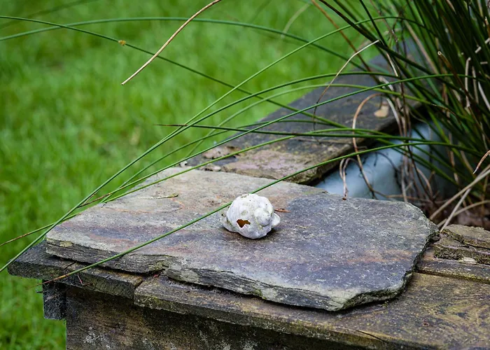 Cozy & Spacious Place On A Quiet Spot In The Middle Of The Netherlands With Free Use Of 2 Women's And 2 Men's Bikes Child Seat Semesterbostad
