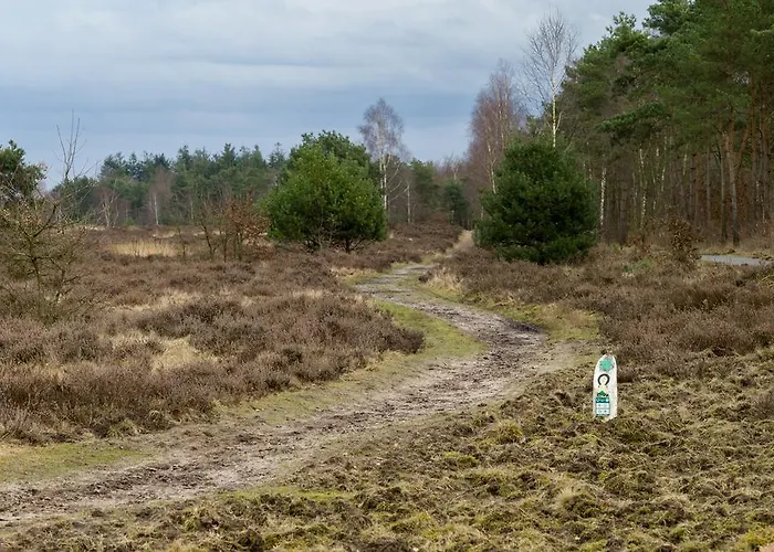 Dom wakacyjny Cozy & Spacious Place On A Quiet Spot In The Middle Of The Netherlands With Free Use Of 2 Women's And 2 Men's Bikes Child Seat Putten