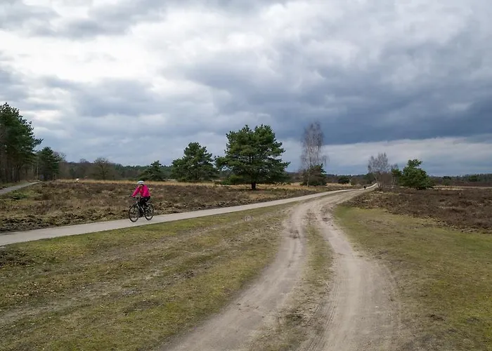 Hébergement de vacances Cozy & Spacious Place On A Quiet Spot In The Middle Of The Netherlands With Free Use Of 2 Women's And 2 Men's Bikes Child Seat