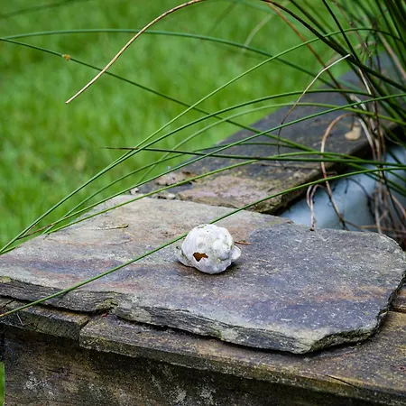 Cozy & Spacious Place On A Quiet Spot In The Middle Of The Netherlands With Free Use Of 2 Women's And 2 Men's Bikes Child Seat Дом отдыха