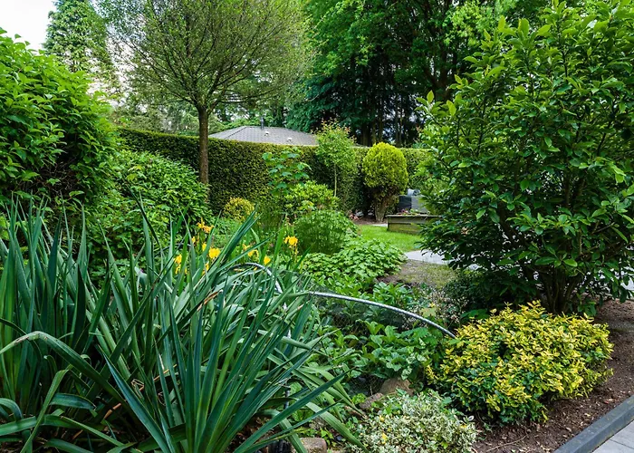 Cozy & Spacious Place On A Quiet Spot In The Middle Of The Netherlands With Free Use Of 2 Women's And 2 Men's Bikes Child Seat בית נופש פוטן