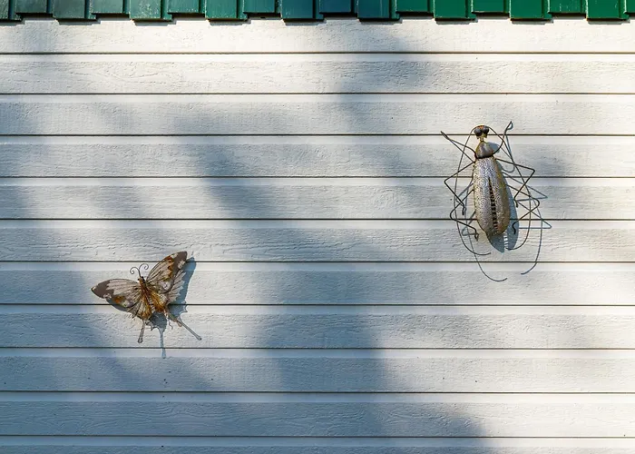 Cozy & Spacious Place On A Quiet Spot In The Middle Of The Netherlands With Free Use Of 2 Women's And 2 Men's Bikes Child Seat בית נופש *