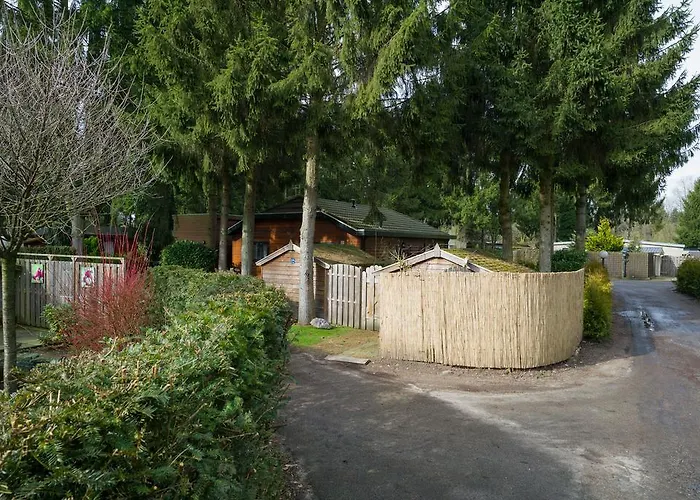 Cozy & Spacious Place On A Quiet Spot In The Middle Of The Netherlands With Free Use Of 2 Women's And 2 Men's Bikes Child Seat פוטן