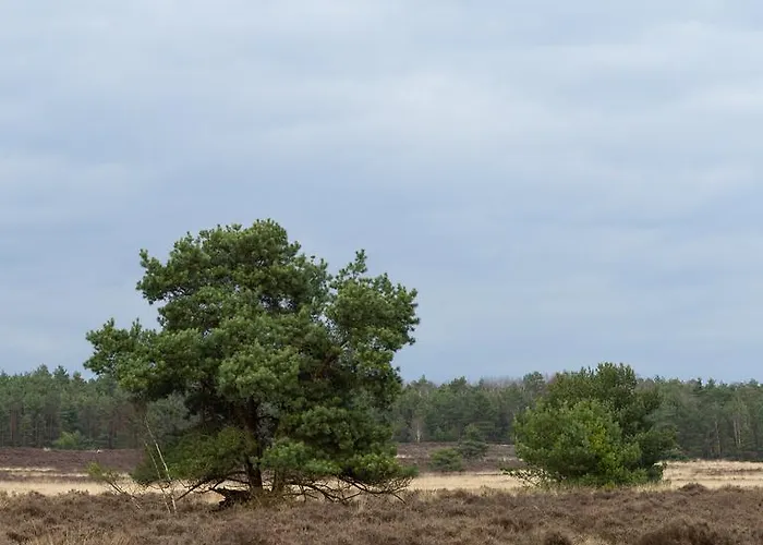 בית נופש Cozy & Spacious Place On A Quiet Spot In The Middle Of The Netherlands With Free Use Of 2 Women's And 2 Men's Bikes Child Seat