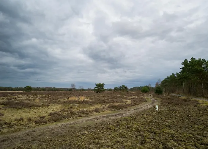 Cozy & Spacious Place On A Quiet Spot In The Middle Of The Netherlands With Free Use Of 2 Women's And 2 Men's Bikes Child Seat פוטן